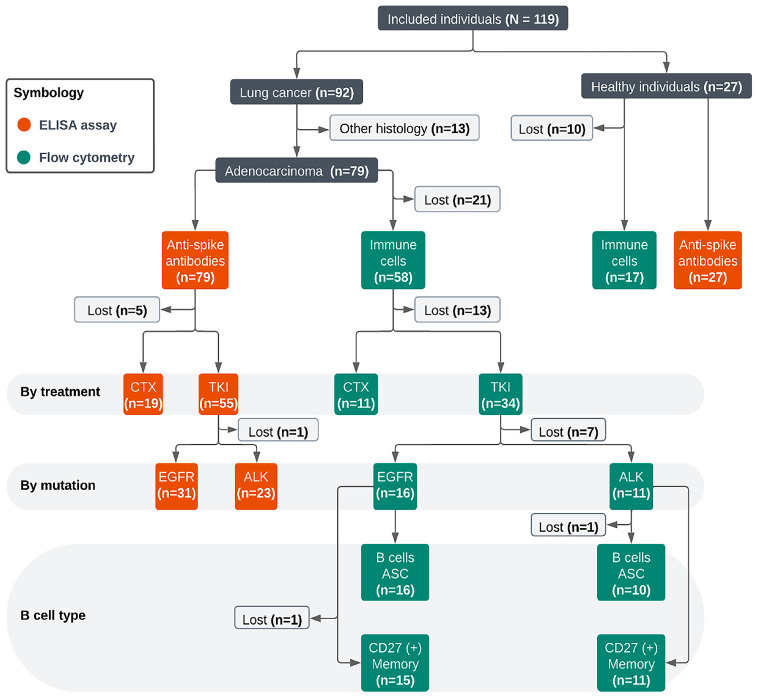 Correction: Hernández-Pedro et al. Impact of Tyrosine Kinase Inhibitors on the Immune Response to SARS-CoV-2 Vaccination in Patients with Thoracic Malignancies. <i>Vaccines</i> 2023, <i>11</i>, 1612.