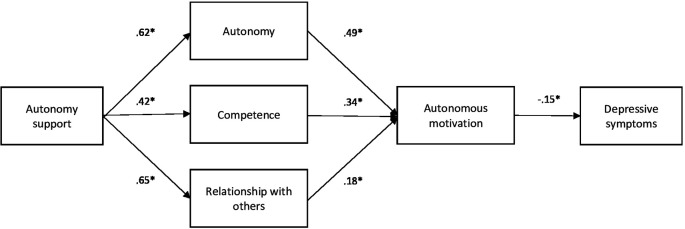 Autonomy support in higher education: a key strategy for the well-being of university students.