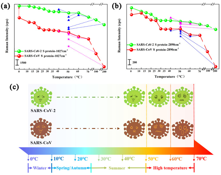 Exploration of the Tolerance of Novel Coronaviruses to Temperature Changes Based on SERS Technology.