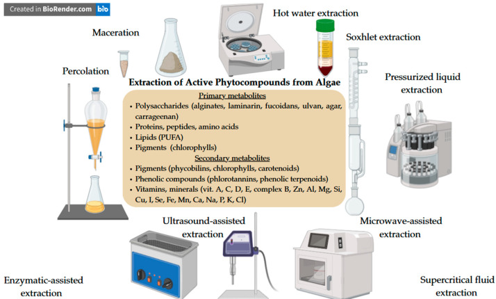 Marine Macroalgae in Topical Formulations: Bioactive Compounds, Variability, Analytical Challenges and Skin Benefits.