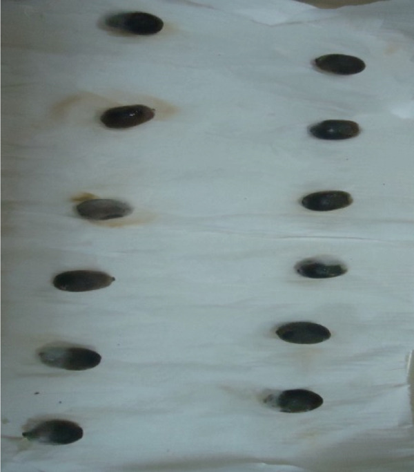 Abstract Image