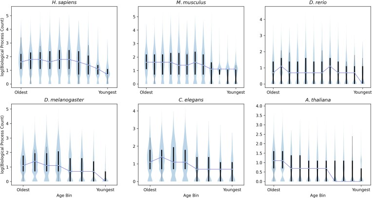 Pleiotropy increases with gene age in six model multicellular eukaryotes.