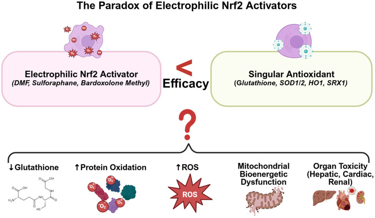 Non-Electrophilic Activation of NRF2 in Neurological Disorders: Therapeutic Promise of Non-Pharmacological Strategies.