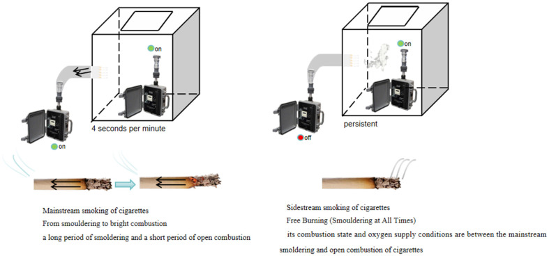 Chemical Dissection of PM<sub>2.5</sub> in Cigarette Smoke: Main and Sidestream Emission Factors and Compositions.