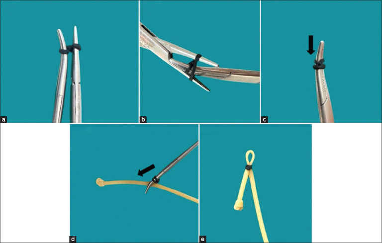 Efficacy and sterilization resilience of silicone rubber bands as an alternative to suture ligation in feline orchiectomy.