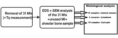 The assessment of untreated surface orthodontic mini-implants' osseointegration through three successive methods.