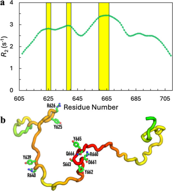 Correlated Segments of Intrinsically Disordered Proteins as Drivers of Homotypic Phase Separation.