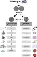 Titanium surface functionalization via fibrinogen-coated nano-topography: Physicochemical surface characterization and pre-osteoblastic cell response