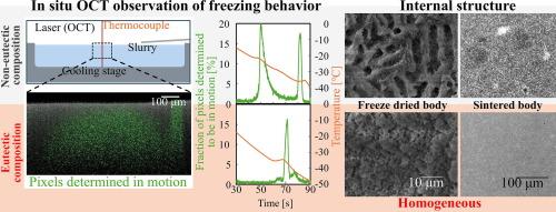 Freezing behaviour and spray freeze granulation drying of silicon nitride slurries prepared from tert-butyl alcohol and cyclohexane solvent mixtures