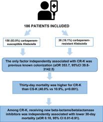 Current epidemiology, risk factors and influence on prognosis of multidrug resistance in Klebsiella spp. bloodstream infection. Insights from a prospective cohort