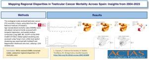 Mapping regional disparities in testicular cancer mortality across Spain (2004–2023)