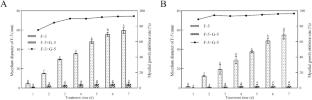 Bacillus thuringiensis G-5 efficiently suppresses Codonopsis pilosula postharvest diseases by generating antifungal volatile organic compounds