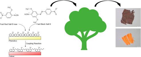 Molecular insights into diazonium salt binding and colour development in wood substrates