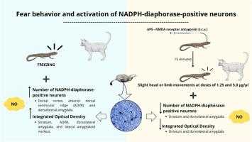Distribution and activation of nitrergic neurons in response to aversive stimulus exposure in the Tropidurus hispidus lizard: Involvement of glutamatergic circuitry
