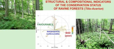 Structural and compositional indicators of the conservation status of forest habitats: A case study of ravine forests – EU priority habitat type Tilio-Acerion