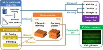 Direct ink writing of bioactive PCL/laponite bone Implants: Engineering the interplay of design, process, structure, and function