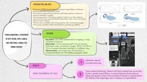 Thoracoabdominal Asynchrony in Very Severe COPD: Clinical and Functional Correlates During Exercise