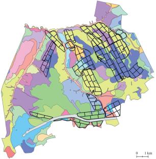 Multitemporal Spectral Characteristics of the Open Soil Surface and Mapping of the Organic Matter Content in Plow Horizons
