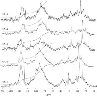 Molecular Structure of Humic Acids from Chestnut Soils of Transbaikalia