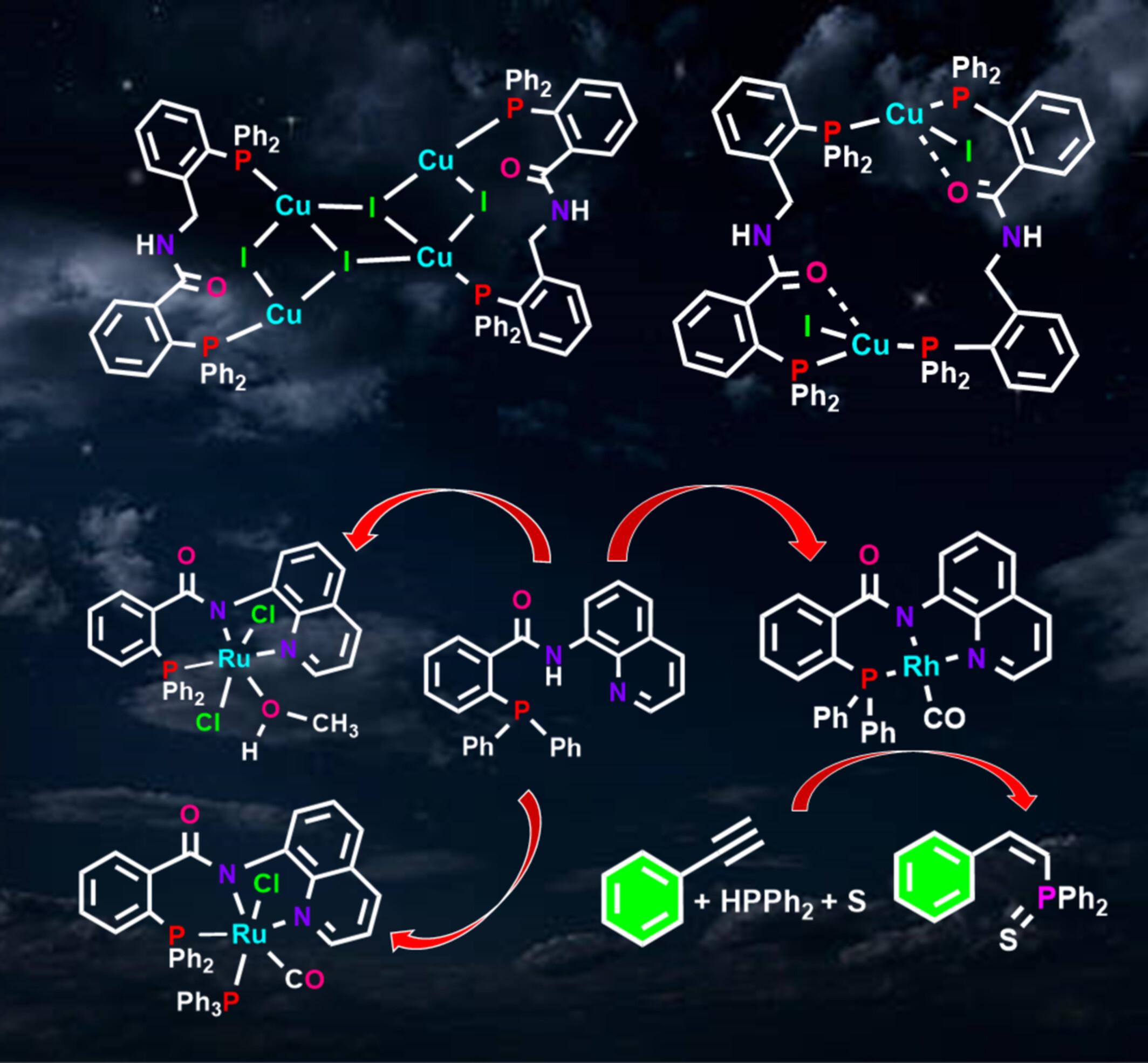 Transition Metal Complexes of PNP and PNN Ligands: Synthesis and Catalytic Applications in Hydrophosphination of Terminal Alkynes