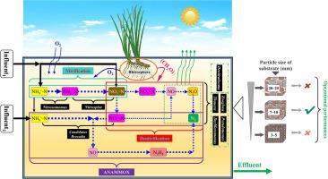 Effect of substrate size on partial denitrification-ANAMMOX in a subsurface vertical flow constructed wetland with step-feeding