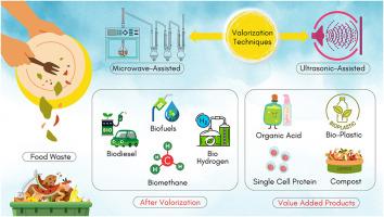 Recent advances and trends in food waste valorization via microwave and ultrasonic-assisted hydrolysis into bio-energy and value-added products-A sustainable approach