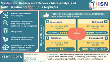 Systematic Review and Network Meta-Analysis of Initial Treatments for Lupus Nephritis