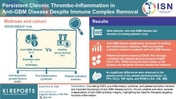 Persistent Chronic Thrombo-Inflammation in Anti–Glomerular Basement Membrane Disease Despite Immune Complex Removal