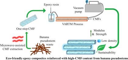 Improved mechanical properties in laminated epoxy composites reinforced with high-content cellulose microfibrils from banana pseudostems