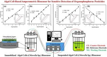 Development of a novel amperometric biosensor utilising Chlorella sp. for determination of organophosphorus pesticides