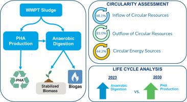 The circular value of polyhydroxyalkanoate (PHA) bioplastic production from sludge at a large-scale wastewater treatment plant