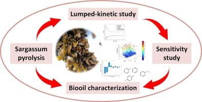 Integrated kinetic modeling and Latin hypercube sampling-based sensitivity analysis with bio-oil characterization in the pyrolysis of Sargassum sp