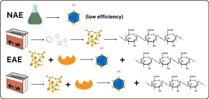 Enhancing phenolic and flavonoid recovery from Vietnamese balm using green solvent-based ultrasonic-enzymatic-assisted extraction