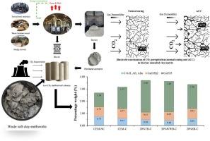 Feedstock influence on mechanical properties and CO2 mineralization potential of biochar amended cemented soft clay
