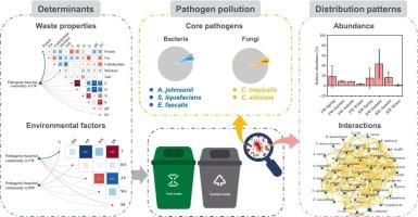 Distribution patterns and influencing factors of pathogenic microbial communities in household municipal solid waste: A case in Beijing, China