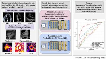 Using Deep Learning to Predict Cardiovascular Magnetic Resonance Findings From Echocardiographic Videos