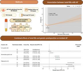 Circulating ketone bodies, genetic susceptibility, with left atrial remodeling and atrial fibrillation: A prospective study from the UK Biobank
