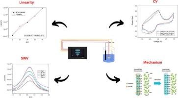 Effect of incorporating cellulose nanocrystals into ZnO/PVA nanocomposite for the production of electrochemical sensor to detect cadmium in water