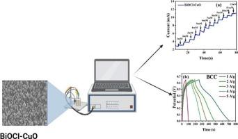 BiOCl–CuO nanocomposite as a bifunctional material for glucose detection and energy storage