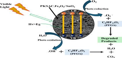 The investigations of photocatalytic degradation and defluorination of perfluorooctanoic acid using palm kernel shell activated carbon and Fe-Sn binary oxides nanocomposite under visible light irradiation