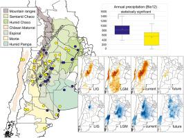 Intraspecific genetic diversity matters: Genetic lineages of Solanum elaeagnifolium show contrasting responses to climate change across time