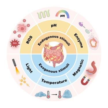 Stimuli-responsive nanomaterials for targeted drug delivery in inflammatory bowel disease: Advances and emerging directions