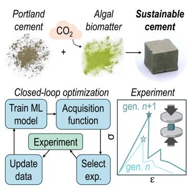 Closed-loop optimization using machine learning for the accelerated design of sustainable cements incorporating algal biomatter