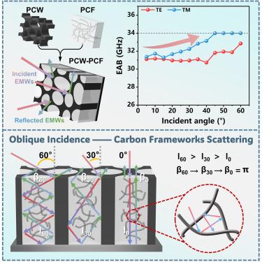 Biomass-derived hierarchical carbon frameworks enable robust microwave absorption