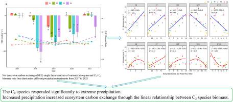 Long-term precipitation manipulation enhances carbon sink strength and differentially drives C3 / C4 species biomass in a desert steppe: Five-year results