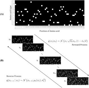 Protein A-like peptide generation based on generalized diffusion model