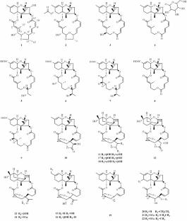 Recent progress in macrocyclic trichothecene research: structures, biosynthetic pathways, and biological activities