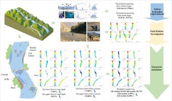 Hydrodynamic thresholds during the spawning period of Schizothorax prenanti and habitat restoration study