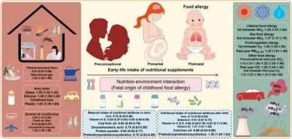 Early-life nutritional additives, household environment, and air pollution in relation to childhood food allergies: A multi-city mother–child study in China