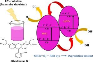Protein-exfoliation mediated molybdenum disulfide incorporated with silver nanoparticles for photocatalytic degradation of Rhodamine B